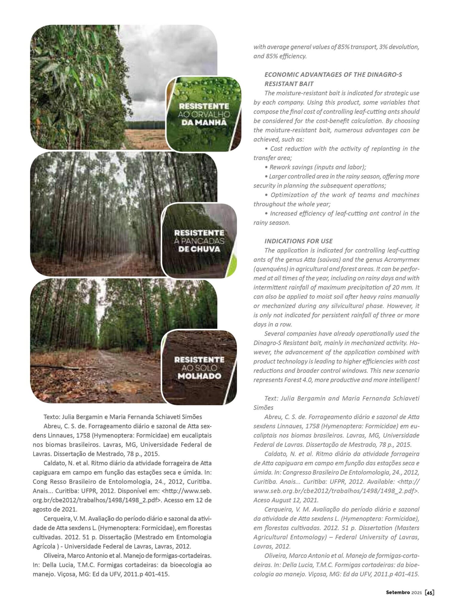 Revista Referência Florestal