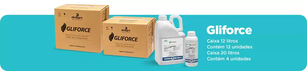 gliforce